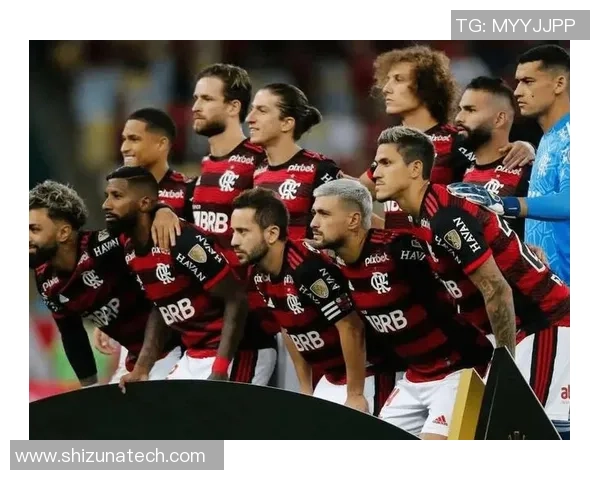 米竞技与弗拉门戈对决前瞻分析及比赛结果预测详解